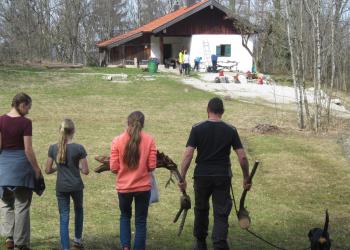 erst mal Holz sammeln