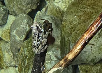 DAV Traunstein Familiengruppe