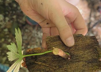 DAV Traunstein Familiengruppe