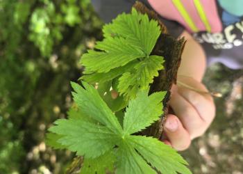 DAV Traunstein Familiengruppe