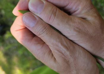 DAV Traunstein Familiengruppe