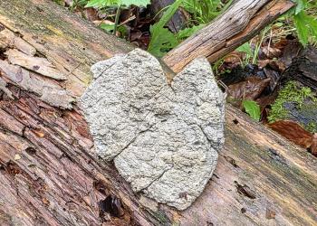 DAV Traunstein Familiengruppe