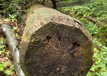 DAV Traunstein Familiengruppe