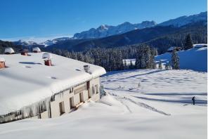 Traunsteiner Skihütte im Winter