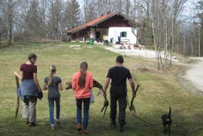PV-Anlage für Gschwendthütte