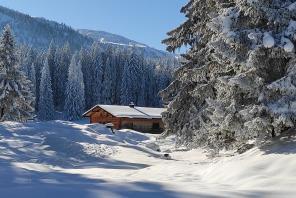 Hindenburghütte