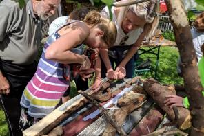 Naturholzlampen bauen