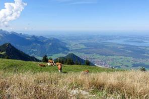 Alpenverein Traunstein - Überraschungstour Chiemgauer Alpen